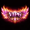VIP 6